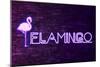 Urban Neon Collection - Flamingo-Philippe Hugonnard-Mounted Art Print