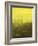 Urban Nocturne-Paul Cornoyer-Framed Giclee Print