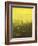 Urban Nocturne-Paul Cornoyer-Framed Giclee Print