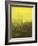 Urban Nocturne-Paul Cornoyer-Framed Giclee Print