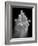 Urban Offering-Thomas Barbey-Framed Giclee Print