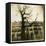 Urban Paris Landscape with Tree-Kevin Cruff-Framed Premier Image Canvas