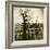 Urban Paris Landscape with Tree-Kevin Cruff-Framed Photographic Print