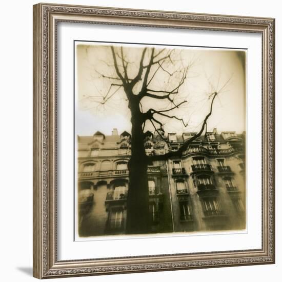 Urban Paris Landscape with Tree-Kevin Cruff-Framed Photographic Print