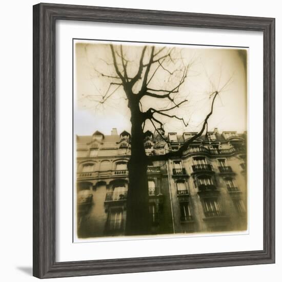 Urban Paris Landscape with Tree-Kevin Cruff-Framed Photographic Print