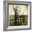 Urban Paris Landscape with Tree-Kevin Cruff-Framed Photographic Print