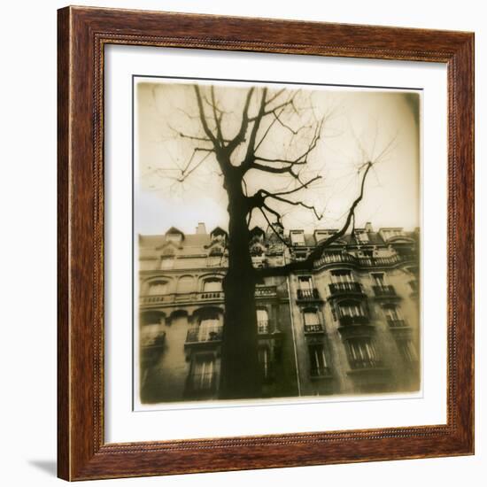 Urban Paris Landscape with Tree-Kevin Cruff-Framed Photographic Print