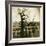 Urban Paris Landscape with Tree-Kevin Cruff-Framed Photographic Print