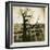 Urban Paris Landscape with Tree-Kevin Cruff-Framed Photographic Print