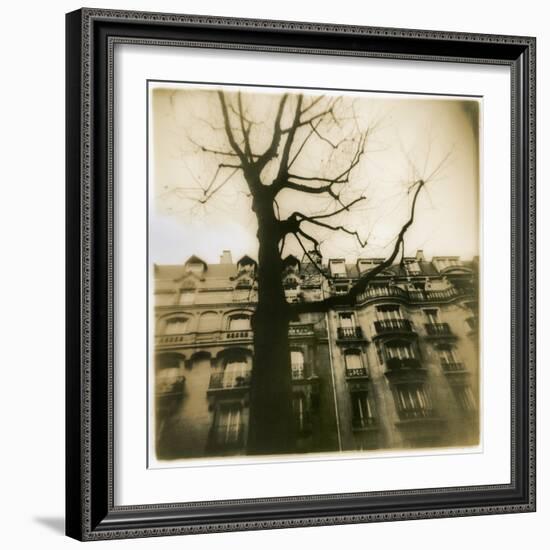 Urban Paris Landscape with Tree-Kevin Cruff-Framed Photographic Print