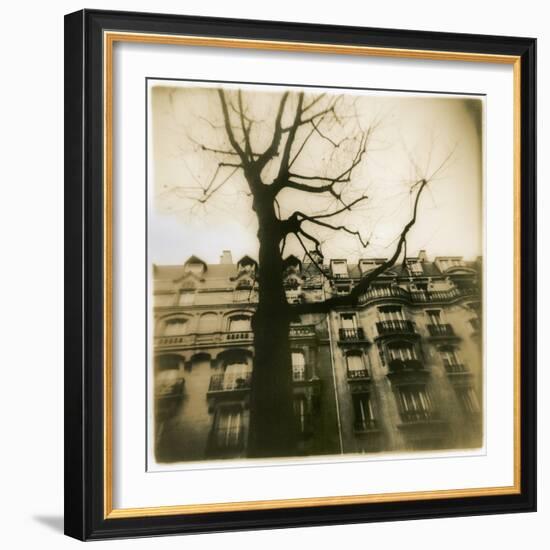 Urban Paris Landscape with Tree-Kevin Cruff-Framed Photographic Print