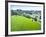 Urban Park-urbanlight-Framed Photographic Print