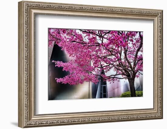 Urban Spring-George Oze-Framed Photographic Print