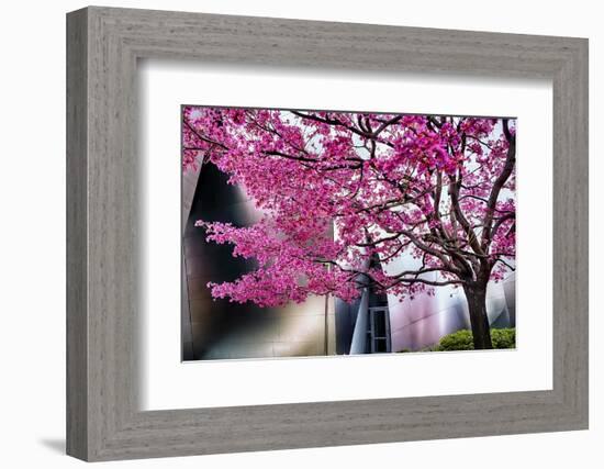 Urban Spring-George Oze-Framed Photographic Print