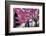 Urban Spring-George Oze-Framed Photographic Print