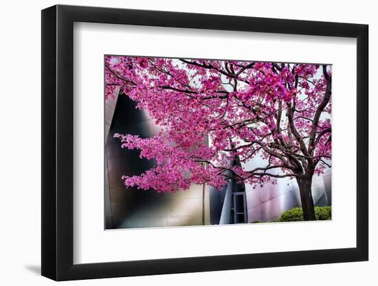 Urban Spring-George Oze-Framed Photographic Print