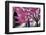 Urban Spring-George Oze-Framed Photographic Print