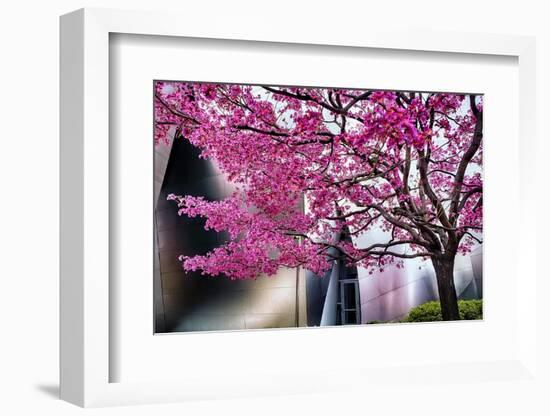 Urban Spring-George Oze-Framed Photographic Print