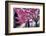 Urban Spring-George Oze-Framed Photographic Print