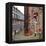 Urban Street View in England-Craig Roberts-Framed Premier Image Canvas