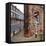 Urban Street View in England-Craig Roberts-Framed Premier Image Canvas