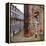 Urban Street View in England-Craig Roberts-Framed Premier Image Canvas