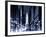 Urban Stretch Series - City Hall and Avenue of the Arts by Night - Philadelphia - Pennsylvania-Philippe Hugonnard-Framed Photographic Print