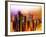 Urban Stretch Series - Landscape of Manhattan at Night - New York-Philippe Hugonnard-Framed Photographic Print