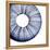 Urchin Shell 1-Sheldon Lewis-Framed Stretched Canvas