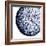 Urchin Shell 2-Sheldon Lewis-Framed Art Print