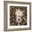 Urchin Star Sea Shells-null-Framed Art Print