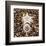 Urchin Star Sea Shells-null-Framed Art Print