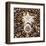 Urchin Star Sea Shells-null-Framed Art Print