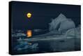 Stretched Canvas Print