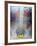 Urinary System, X-ray-Du Cane Medical-Framed Photographic Print