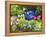 Urn & Flowers-Herb Dickinson-Framed Premier Image Canvas