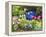 Urn & Flowers-Herb Dickinson-Framed Premier Image Canvas