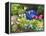 Urn & Flowers-Herb Dickinson-Framed Premier Image Canvas