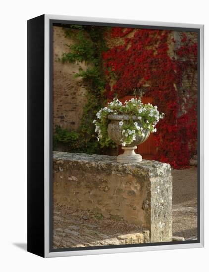 Urn of Petunias, Chateau de Pierreclos, Burgundy, France-Lisa S^ Engelbrecht-Framed Premier Image Canvas