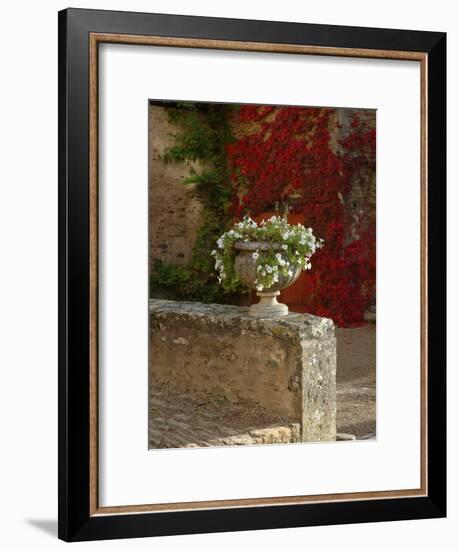 Urn of Petunias, Chateau de Pierreclos, Burgundy, France-Lisa S^ Engelbrecht-Framed Photographic Print