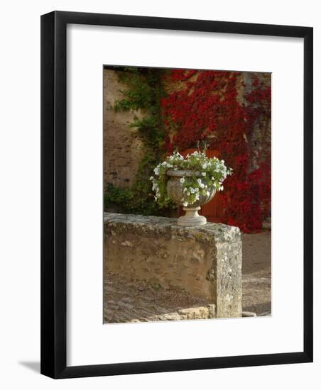 Urn of Petunias, Chateau de Pierreclos, Burgundy, France-Lisa S^ Engelbrecht-Framed Photographic Print