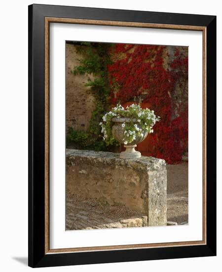 Urn of Petunias, Chateau de Pierreclos, Burgundy, France-Lisa S^ Engelbrecht-Framed Photographic Print