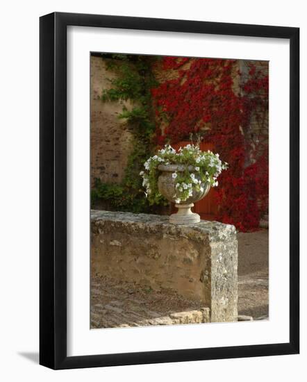 Urn of Petunias, Chateau de Pierreclos, Burgundy, France-Lisa S^ Engelbrecht-Framed Photographic Print