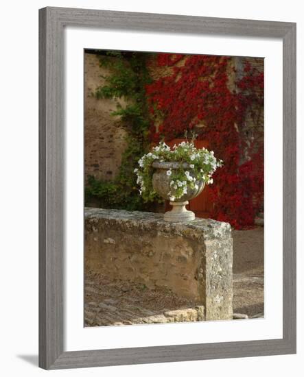 Urn of Petunias, Chateau de Pierreclos, Burgundy, France-Lisa S^ Engelbrecht-Framed Photographic Print