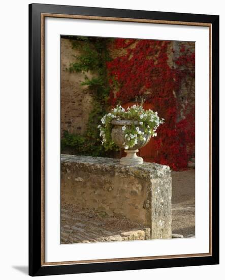 Urn of Petunias, Chateau de Pierreclos, Burgundy, France-Lisa S^ Engelbrecht-Framed Photographic Print