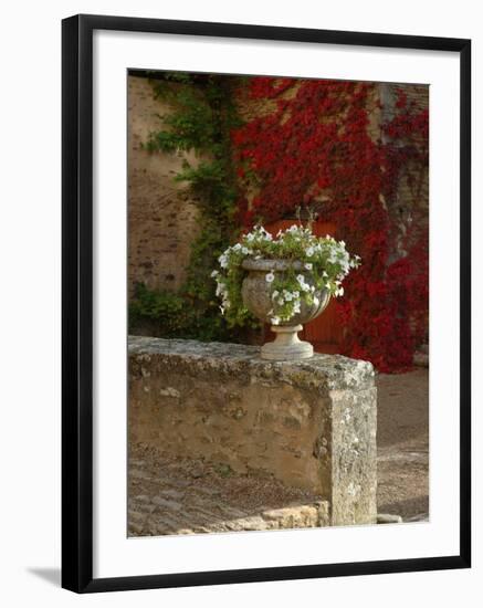 Urn of Petunias, Chateau de Pierreclos, Burgundy, France-Lisa S^ Engelbrecht-Framed Photographic Print