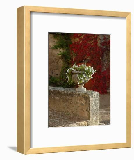 Urn of Petunias, Chateau de Pierreclos, Burgundy, France-Lisa S^ Engelbrecht-Framed Photographic Print