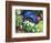 Urn & Spring Flowers-Herb Dickinson-Framed Photographic Print