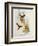 Urochroa Bougieri-John Gould-Framed Giclee Print