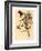 Urocissa Magnirostris-Richter & Gould-Framed Giclee Print